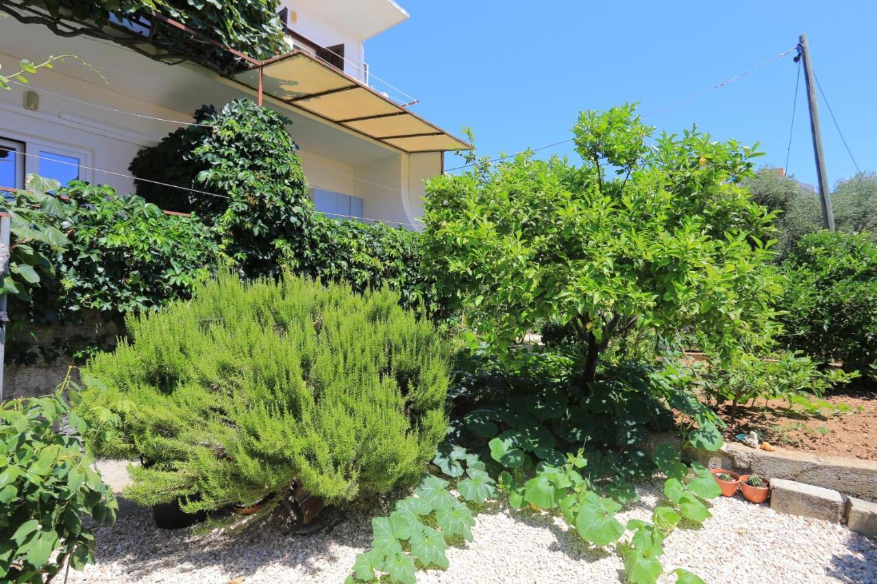 Apartment Zivogosce - Blato 1057D Buitenkant foto